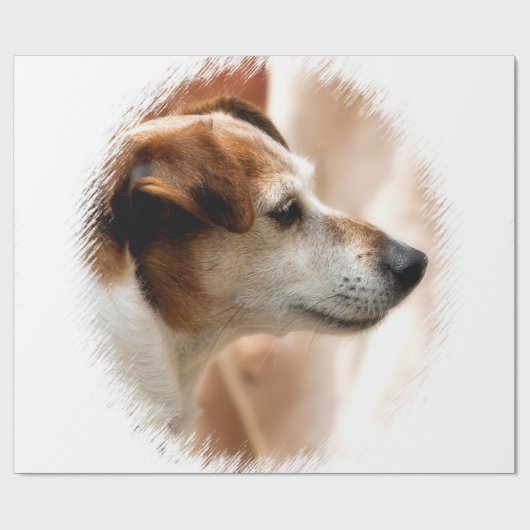 PAPIER CADEAU JACK RUSSELL TERRIER CHIEN (Plat)
