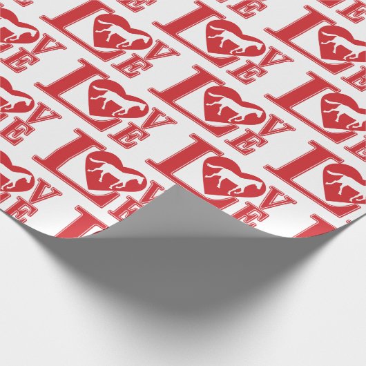 Papier Cadeau J'aime les chevaux (Coin)