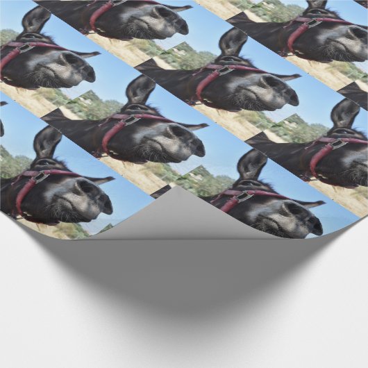 Papier Cadeau J'Aime Les Dons ! (Coin)