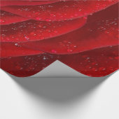 Papier Cadeau Jardin Abstrait de Roses Rouges Élégant Floral (Coin)