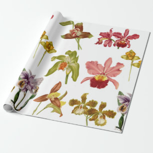 Papier Cadeau Jardin botanique des fleurs d'orchidées Vintages
