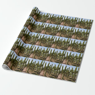 Papier Cadeau Jardin de cactus, paysage désertique tropical.