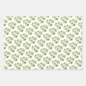 Papier Cadeau Jardin de la Saint-Patrick de la feuille de verdur (Devant 2)