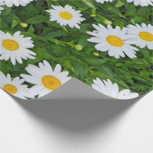 Papier Cadeau Jardin de marguerite d'été blanc