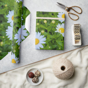 Papier Cadeau Jardin de marguerites blanches