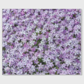Papier Cadeau Jardin Purple Phlox (Plat)