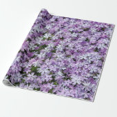 Papier Cadeau Jardin Purple Phlox (Déroulé)