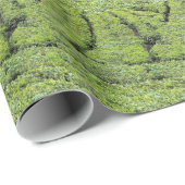 Papier Cadeau Jardins de thé de Munnar sur (Coin rond)