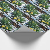 Papier Cadeau Jaune Daffodils fleurs dans la neige (Coin)
