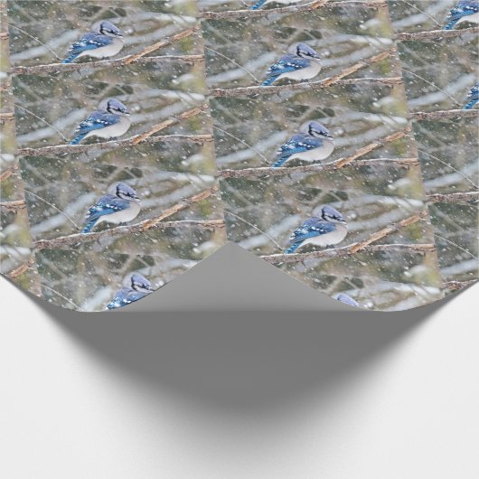 Papier Cadeau Jay bleu dans une tempête de neige (Coin)