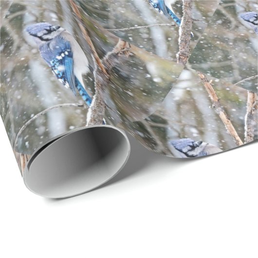 Papier Cadeau Jay bleu dans une tempête de neige (Coin rond)