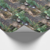 Papier Cadeau Je suis le chat invisible (Coin)