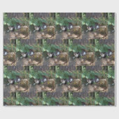 Papier Cadeau Je suis le chat invisible (Plat)