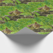 Papier Cadeau Je Vous Vois Écureuil (Coin)