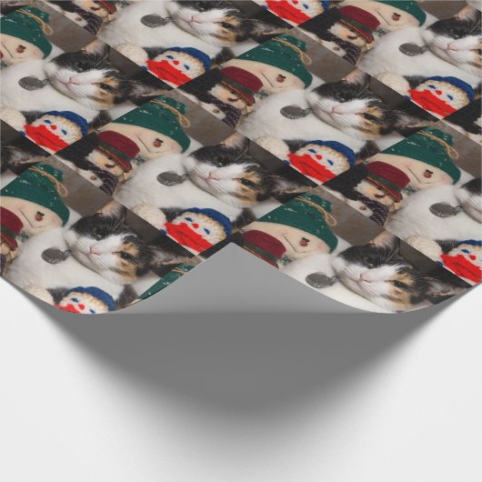 Papier Cadeau J'Espère Un Calico (Coin)