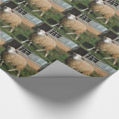 Papier Cadeau Jeune mouton blanc sur la ferme (Coin)