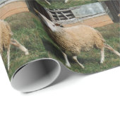 Papier Cadeau Jeune mouton blanc sur la ferme (Coin rond)