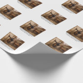Papier Cadeau John Hancock Tagger (Coin)