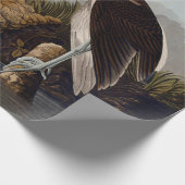 Papier Cadeau John James Audubon White Ibis Bird Print Classic (Coin)