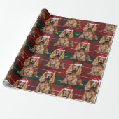 Papier Cadeau Joli Cocker Spaniel Amusement Chien Amoureux Noël (Déroulé)