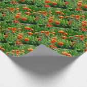 Papier Cadeau Joli pavot orange (Coin)