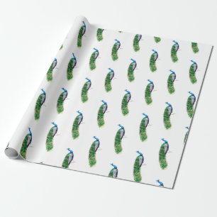 Papier Cadeau Joli Peacock