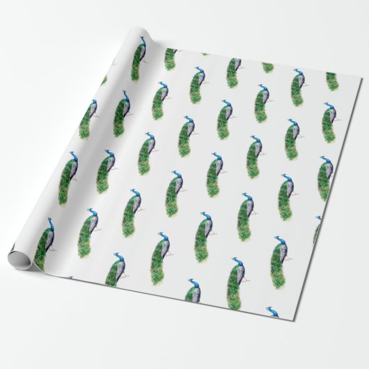 Papier Cadeau Joli Peacock (Déroulé)