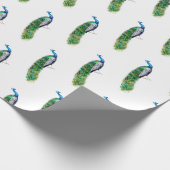 Papier Cadeau Joli Peacock (Coin)