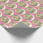 Papier Cadeau Jolie fille rose or Disco Mirrorball (Coin)