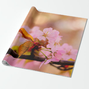 Papier Cadeau Jolie Fleur Sakura Rose Doux Au Printemps