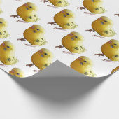 Papier Cadeau Jolie Parakeet Jaune Amical Animaux de compagnie P (Coin)