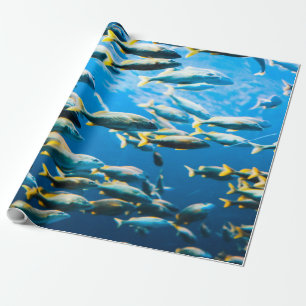 Papier Cadeau Jolie vie marine