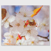 Papier Cadeau Jolies Et Élégantes Fleurs Sakura (Plat)