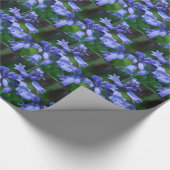 Papier Cadeau Jolies fleurs de Bell (Coin)
