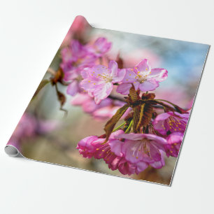 Papier Cadeau Jolies fleurs de Sakura rose