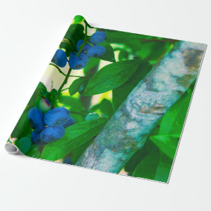 Papier Cadeau Jolies légumes
