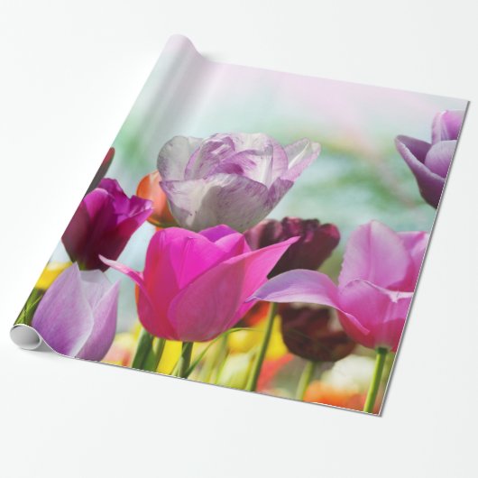 Papier Cadeau Jolies tulipes (Déroulé)