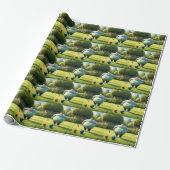 Papier Cadeau Jolly Lawn Bowler Man, (Déroulé)