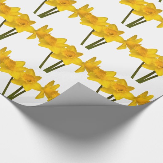 Papier Cadeau Jonquilles (Coin)
