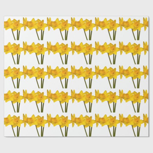 Papier Cadeau Jonquilles (Plat)