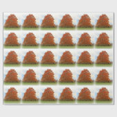 Papier Cadeau Jour d'automne (Plat)