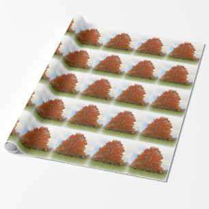Papier Cadeau Jour d'automne