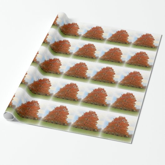Papier Cadeau Jour d'automne (Déroulé)