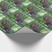 Papier Cadeau Jour de la marmotte (Coin)