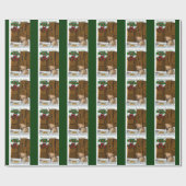 Papier Cadeau Jour de puanteur (Plat)