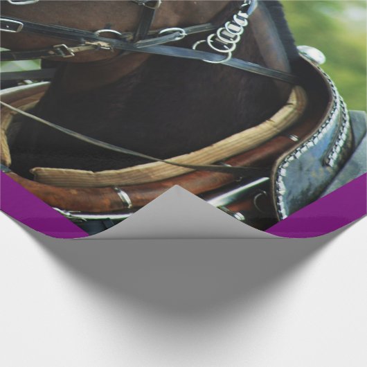 Papier Cadeau jours de mule (Coin)