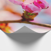 Papier Cadeau Joyeux Anniversaire Des Fleurs De Cerisiers De Sak (Coin)