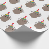 Papier Cadeau Joyeux anniversaire Funny Potato (Coin)