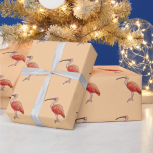 Papier Cadeau Joyeux Anniversaire Oiseau Ibis Écarlate