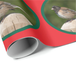 Papier Cadeau Junco à yeux noirs Holiday